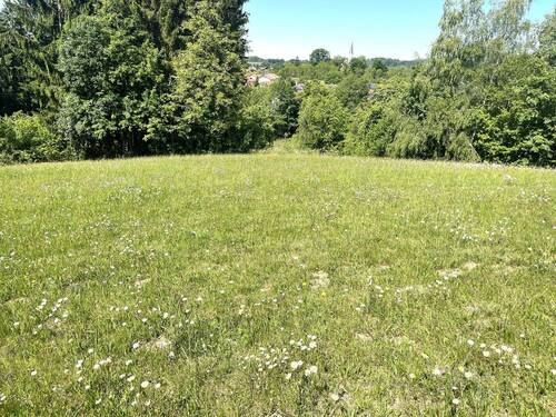 20260518_090941138_iOS.jpg - 1.750 m² Wohnbaufläche inmitten von 14.646 m² Wiesengrund