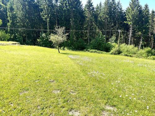 20260518_090943016_iOS.jpg - Grundstück in Bernried zum Kaufen