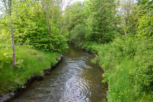 Bild Fluss Röden-0047.jpg - 