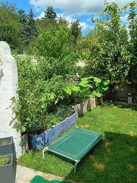 6ea06bc5-52b3-4184-9a55-dbecd0498d3b.JPG - 