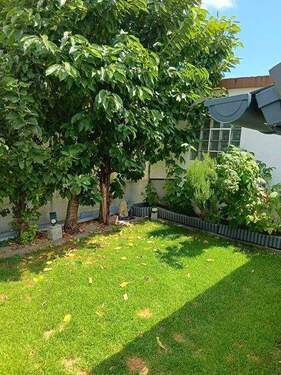 d923cc4f-e81e-4f93-acba-f4d10614d3db.JPG - 