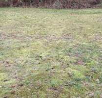 Grundstück in Lage-Waddenhausen für Ihr massives Traumhaus von CONCEPT HAUS