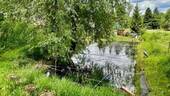 Gartenteich - 