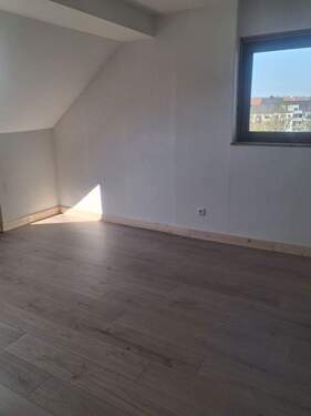 20260318_124519.jpg - 