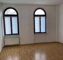Ab 01.12.25!!!Schöne geräumige Zweiraumwohnung in zentrumsnaher Lage mit Dachterrasse und EBK - Zwickau Innenstadt