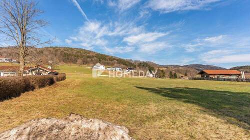 Umgebung 1 - Mehrfamilienhaus, Wohnhaus mit 270,00 m&sup2; in Zenting zum Kaufen