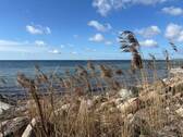 Impression Naturstrand - 1 Zimmer Etagenwohnung zum Kaufen in Fehmarn / Staberdorf