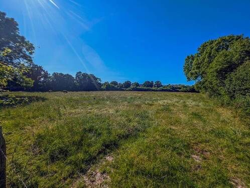 Bauerwartungsland - Grundstück zum Kaufen in Kappeln