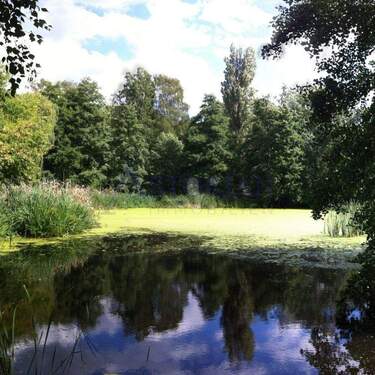 Reinickendorf - Etagenwohnung mit 61,50 m&sup2; in Berlin zum Kaufen