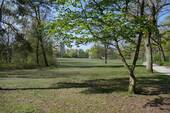 Park Ruhwald - 