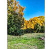 Naturnahes Leben ist gut für das Wohlbefinden! - Arnsdorf Kleinwolmsdorf