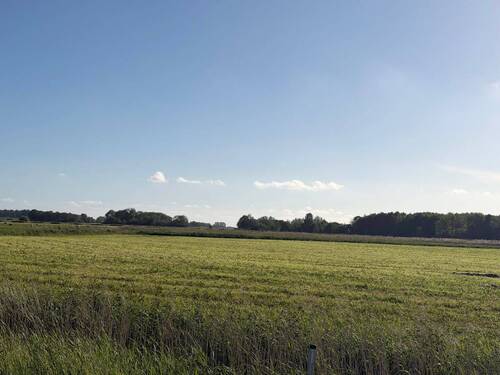 Aussicht vom Grundstück - 