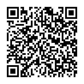 QR-Code - 