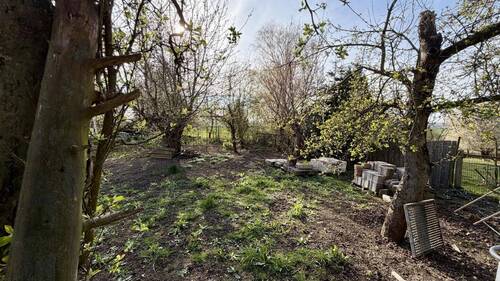 Blick in den Garten - 