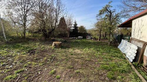 Blick in den Garten - 