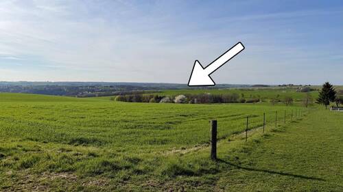 Blick auf das Waldgrundstück - 