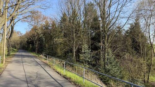 Blick auf das Waldgrundstück - 