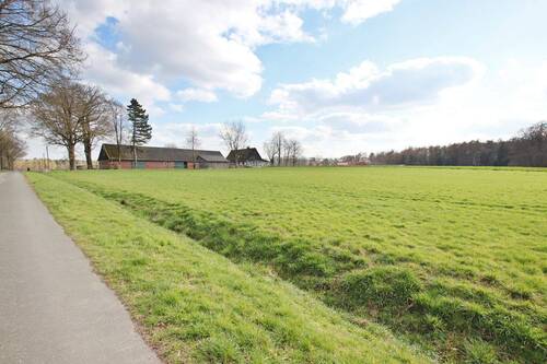 Ansicht Straße - Bauernhaus, Landhaus mit 115,90 m&sup2; in Greven zum Kaufen