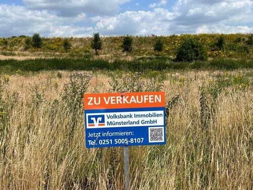 Bild 1 - Ansprechendes Baugrundstück in beliebtem Baugebiet von Greven!