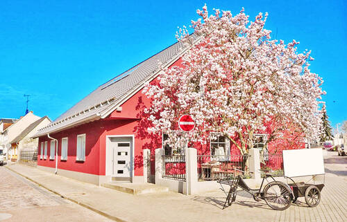 Hausansicht / Straßenseite - interessantes Wohnhaus mit besonderem Flair in Coswig Anhalt