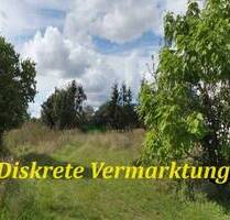 Einfamilienhaus mit Nebengelass vor den Toren der Halbinsel Fischland -Darß- Zingst - Barth Siedlung