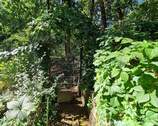 Gartenpforte zum angrenzenden Wald - 