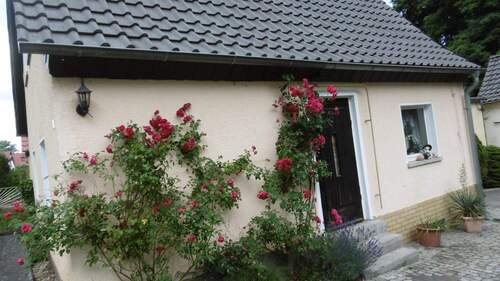 Seitenansicht - 