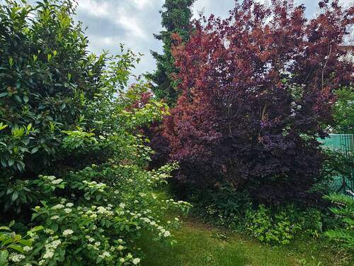 Garten - 