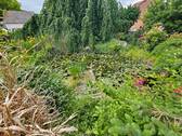 Teich - 