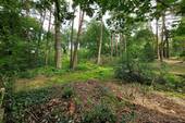 Bild 1 - Baugrundstück in ruhiger Nachbarschaft und allerschönster Lage nahe Worpswede