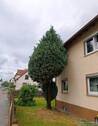 Seitenansicht - 