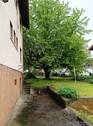 Garten hinter dem Haus - 