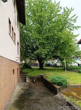 Garten hinter dem Haus - 