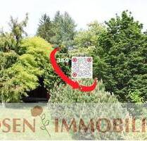 Ruhiger geht es nicht! Ferienhaus zur Sanierung oder Neubau in Olfen - Oberzent