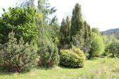 Garten I.JPG - 2 Zimmer Ferienhaus zum Kaufen in Oberzent