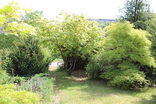 Garten III.JPG - Ferienhaus mit 30,00 m&sup2; in Oberzent zum Kaufen