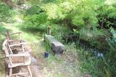 Garten IV.JPG - 