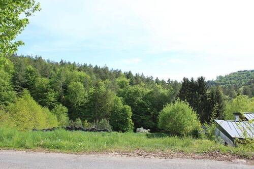 Ausblick.JPG - 