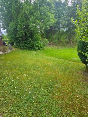 20250530_165740.jpg - 