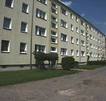 ZWEI MONATE MIETE FREI! Neu renovierte 3-Zimmer-WE mit Balkon in der 2. Etage, ruhige Grünlage! - Burg