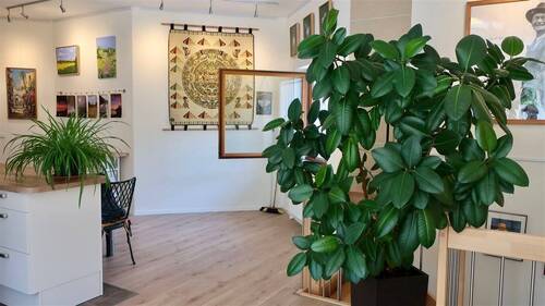 EG mit Einbauküche - 