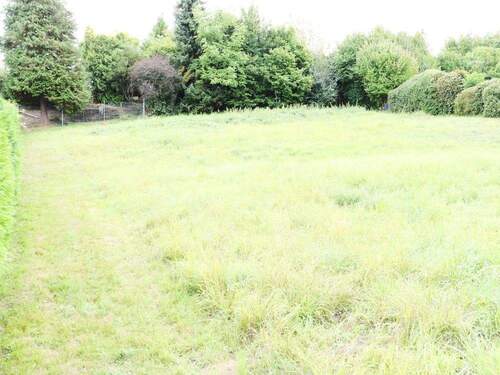 Bild 4 - Grundstück in Solms zum Kaufen