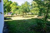 Obstgarten - 