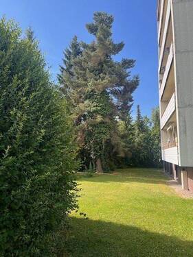 Großes Gartengrundstück - 