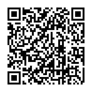 QR-Code - 