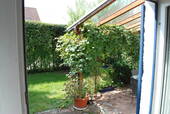 Bild 16 - 