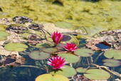 Bild 7 - 