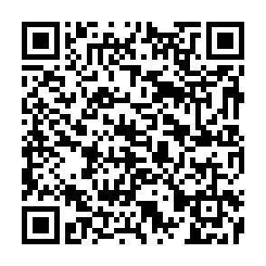 QR-Code - 