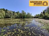 Blick in Richtung Südosten - Freizeitgrundstück mit großem Fischteich in ruhiger Naturlage