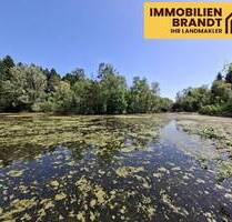 Freizeitgrundstück mit großem Fischteich in ruhiger Naturlage - Harsefeld Issendorf